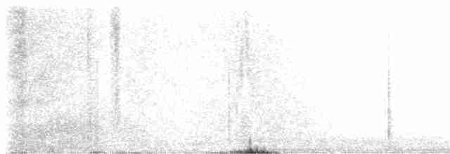 Pileated Woodpecker - ML551148151