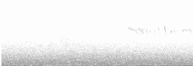 Серпокрилець-вилохвіст малий - ML551184911