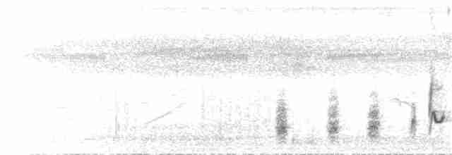 Troglodyte à nuque rousse (rufinucha) - ML55124331
