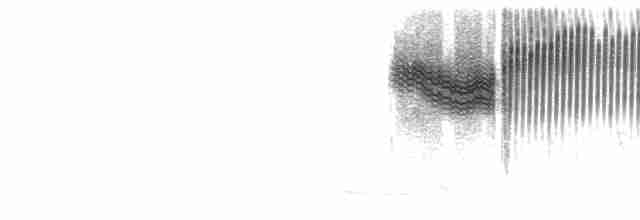  - Blue-winged Warbler