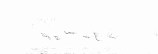 Обыкновенная горихвостка - ML551308941