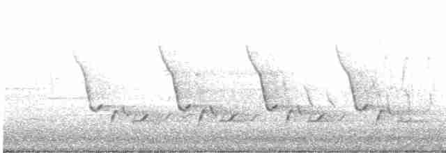 Каролинский крапивник - ML551330721