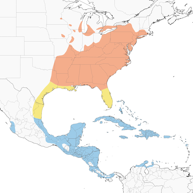 hooded warbler range