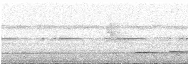 Pheasant Cuckoo - ML551372001