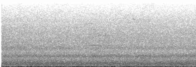 Weißbrustkleiber - ML551387661