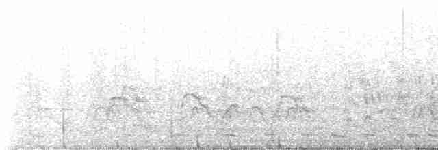 赤頸鴨 - ML551406391