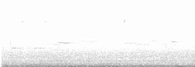 Малая воробьиная овсянка - ML551552431