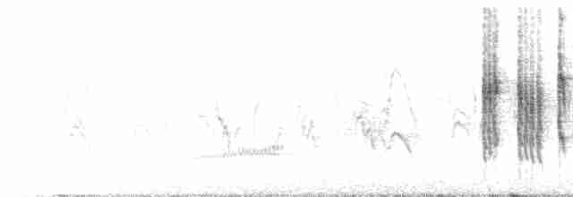 Кропив’янка середземноморська - ML551647171