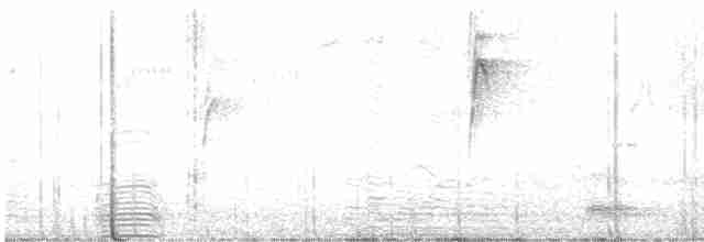 Ібіс молуцький - ML551649901