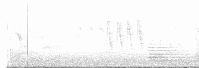White-crowned Penduline-Tit - ML551650491