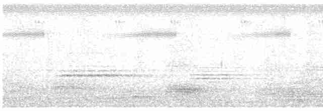 holub fialovoramenný - ML551661281