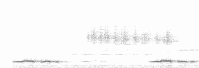 holoubek proužkokrký - ML551662651