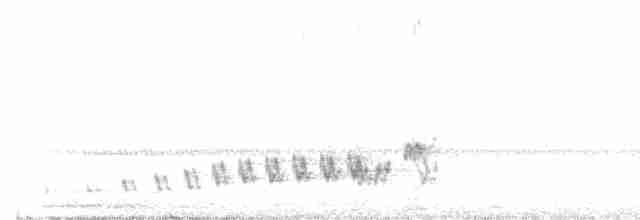 Buff-collared Nightjar - ML551698921