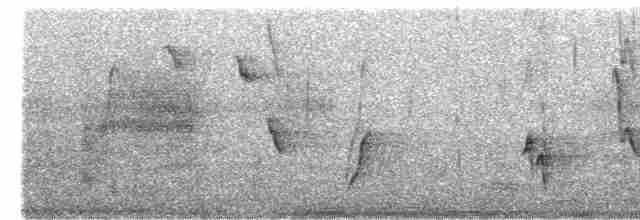 Cuitlacoche Ocelado - ML551704701
