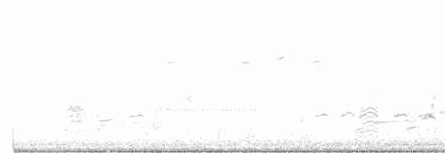 krikkand (carolinensis) (amerikakrikkand) - ML551773031
