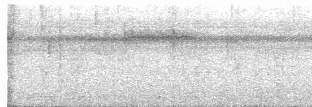Halsband-Ameisenvogel - ML551778751
