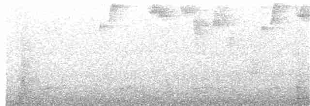 Изумрудогорлый колибри - ML55178921