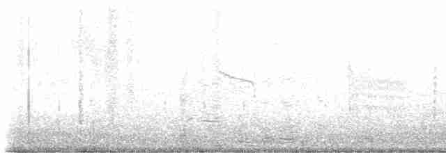 Forster's Tern - ML551808561