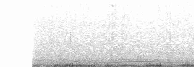 Wedge-tailed Shearwater - ML551813461