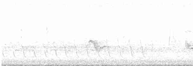 Сероголовый виреон - ML551846011