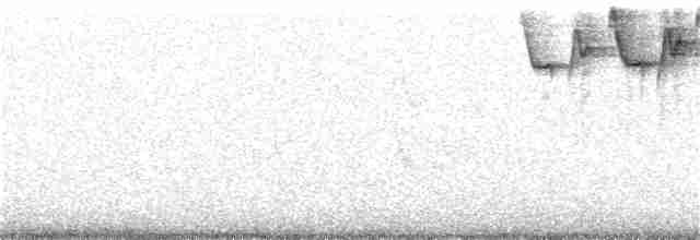 Paruline noir et blanc - ML55192451