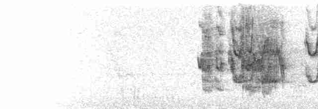  - Red-fronted Parrot (Red-fronted)