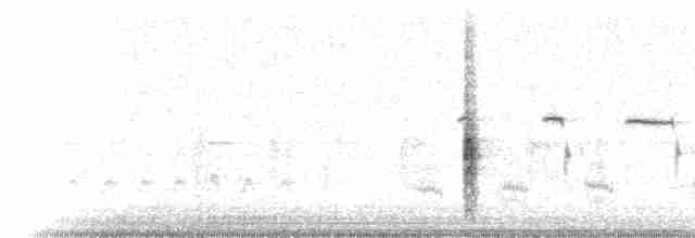 vlhovec červenokřídlý [skupina phoeniceus] - ML55200
