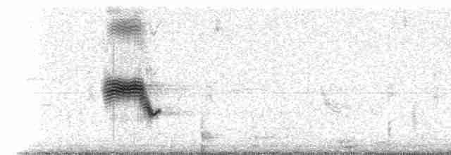 vlhovec červenokřídlý [skupina phoeniceus] - ML55201
