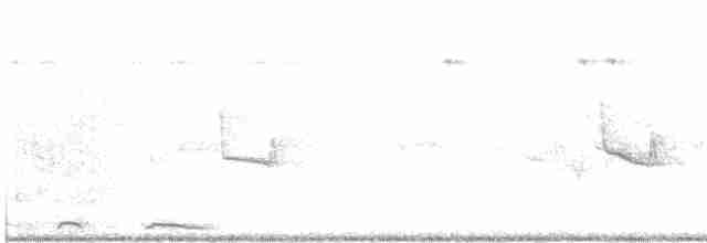 Limon Karınlı Sinekbülbülü [flavigaster grubu] - ML552055631