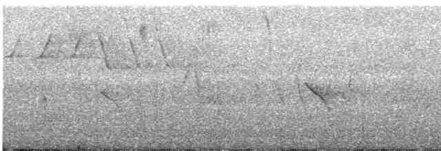 Evening Grosbeak (type 1) - ML552213961