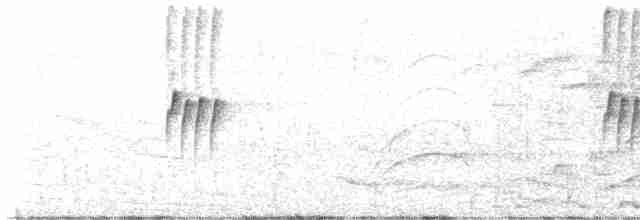 Мухолов-клинодзьоб сірий - ML552259361