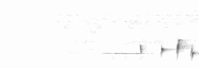  - Puvel's Illadopsis