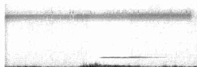 Thicket Tinamou - ML552334881