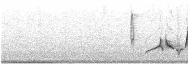 White-eyed Vireo - ML552362581