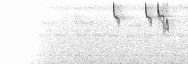  - Dusky-blue Flycatcher