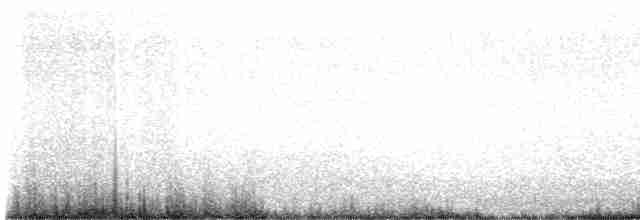 Eastern Meadowlark (Eastern) - ML552403881