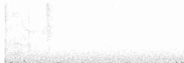 alkoun mramorovaný - ML552408131