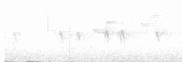 Шишкар ялиновий - ML552408271