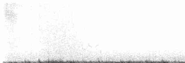 Bewick Çıtkuşu - ML552415971