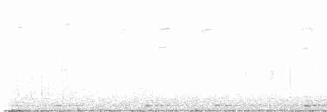Bewick Çıtkuşu - ML552415991