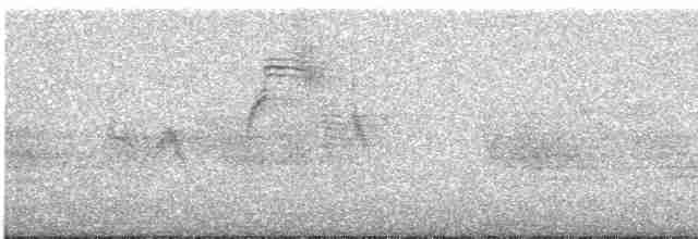 rorýs šedohnědý - ML552425121