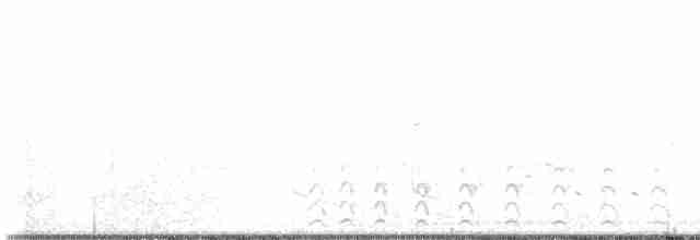 White-eyed Vireo - ML552431691