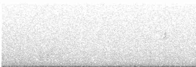 Мангровая веерохвостка - ML552436201