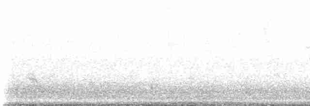Purple Martin - ML552442991