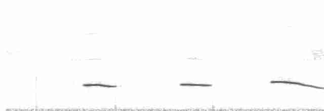 Braunrücken-Ameisenvogel - ML55245961