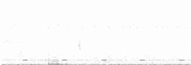holub fialovoramenný - ML552459981