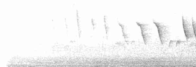 Мангровая древесница [группа petechia] - ML552473961