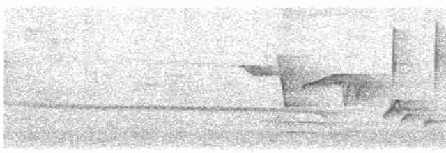 Горихвістка синьолоба - ML552484801