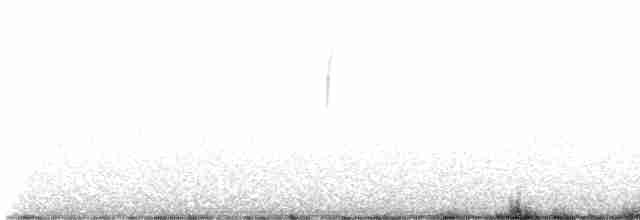 Каролинский крапивник - ML552507641