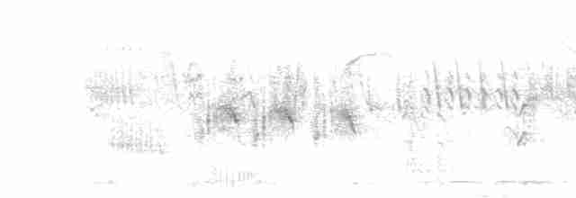 Great Reed Warbler - ML552514621